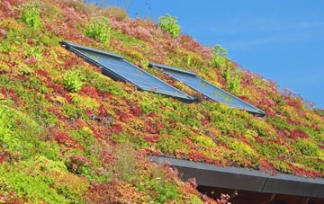 Gortonallister living roof systems